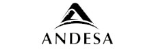 Andesa Services - Top Policy Administration Solution Companies Andesa Services