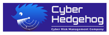 Cyber Hedgehog OY