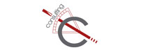 C Consulting