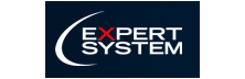 Expert System 